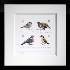 Farmland Birds Framed