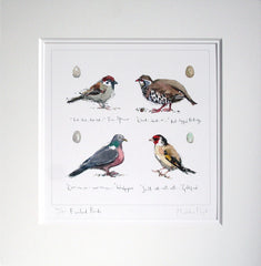 Farmland Birds Unframed