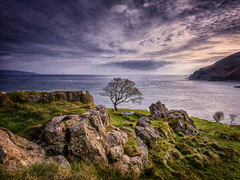 First Light, Murlough Bay Unframed