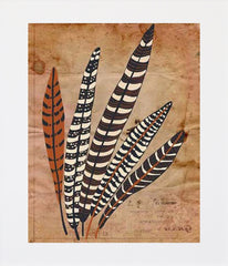 Five Fine Feathers Unframed