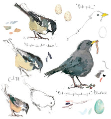 Sketchbook - Blackbird and Coal Tit