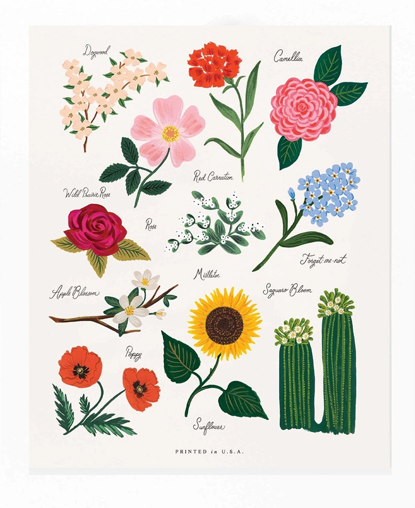 Florals of the United States