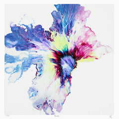 Print Ltd Edition Floral - Flourish Unframed