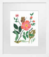 Garden Rose White Frame