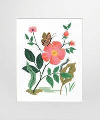 Garden Rose Unframed