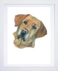 Bell Labrador White Frame