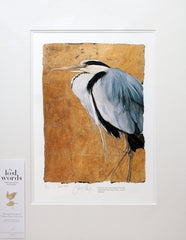 The Lost Words - Heron - Unframed