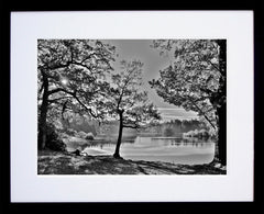 Down - Hillsborough Forest Park Framed