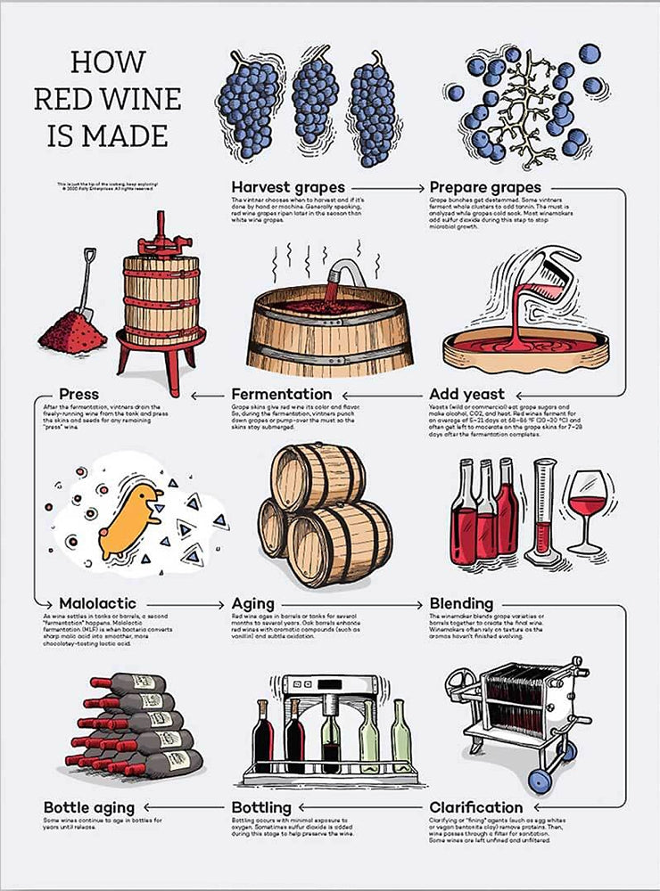 How Red Wine Is Made Unframed