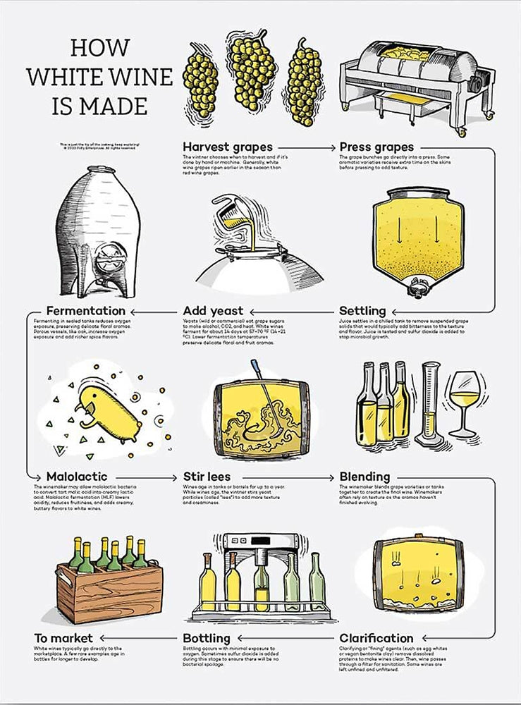 How White Wine Is Made Unframed