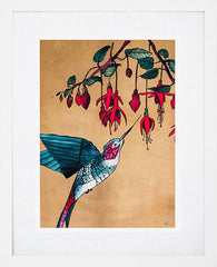 Hummingbird-19 x 27.5-White Box Frame (With Mount)