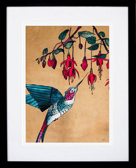 Hummingbird-19 x 27.5-Black Box Frame (With Mount)