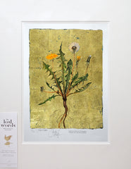 The Lost Words - Dandelion Unframed