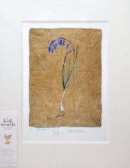 The Lost Words - Bluebell Unframed