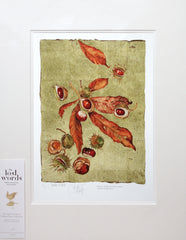 The Lost Words - Conker Unframed