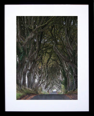 Co Antrim - Dark Hedges Frame Black Box 40x50