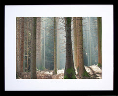 Tollymore Spring II Frame Black