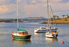 Co Down - Towards Scrabo From Whiterock