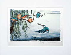 The Lost Words - Kingfishers - Unframed