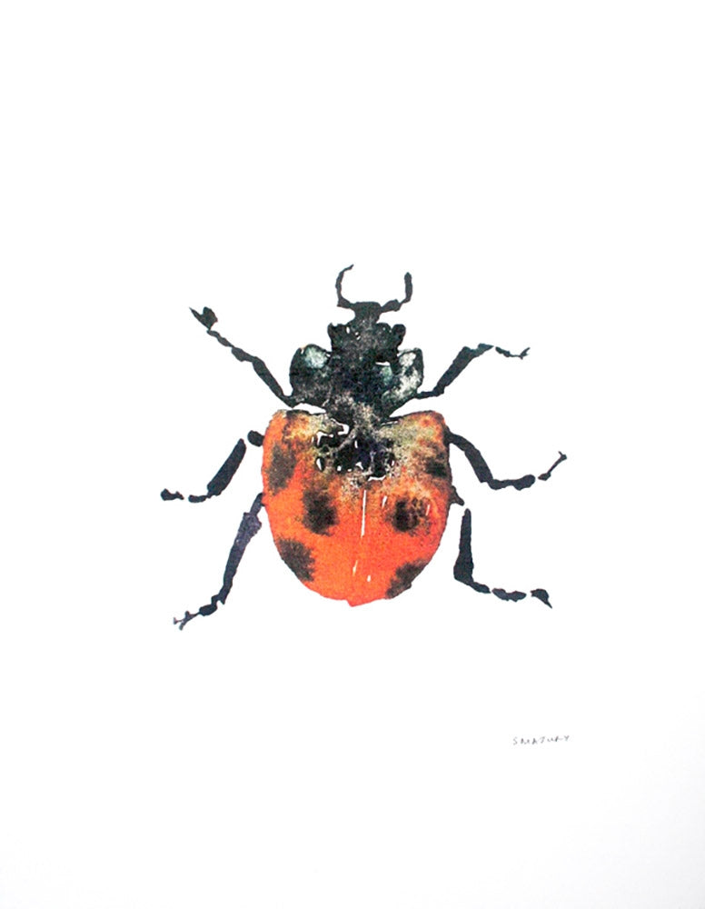 Animals Insect - Ladybird Unframed