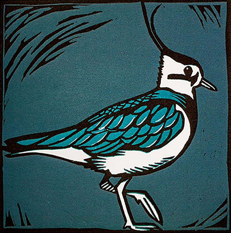 Lino Print - Lapwing