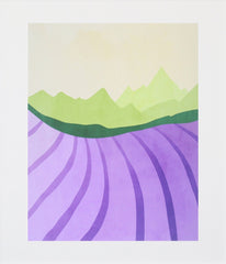 Lavender Fields Unframed