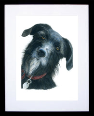 Maggie Lurcher Framed