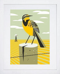 Meadowlark-White Frame