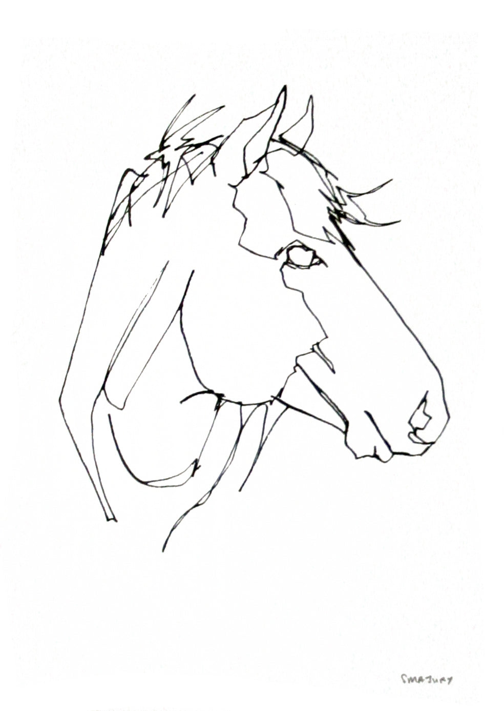 Animals Horse - Mountain Horse Unframed