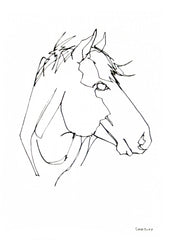 Animals Horse - Mountain Horse Unframed