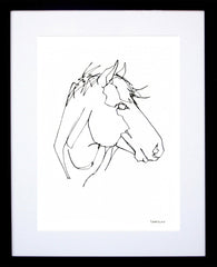 Animals Horse - Mountain Horse Black Frame