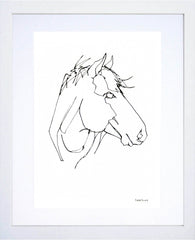 Animals Horse - Mountain Horse White Frame