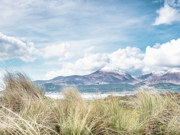 Mournes from Murlough Unframed