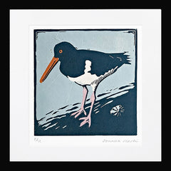 Lino Print - Oystercatcher On A Rock Black Frame