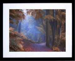 Path to the Pit - Redburn Holywood - Black Box Frame