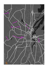 Belfast Peace Lines A2 Unframed