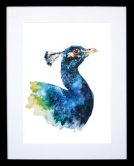 Animals Birds - Peacock Black Frame