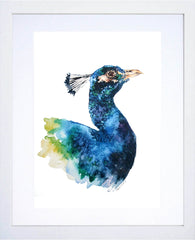 Animals Birds - Peacock White Frame