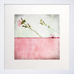 Pole Rose White Frame 