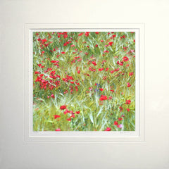 Other - Poppy Dance Unframed