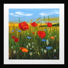 Print - Poppy Field - Black Box Frame (No Mount)