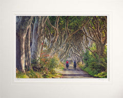 Co Antrim - Quiet Reflection The Dark Hedges Unframed 60x47.5