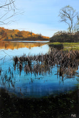 Reed Beds Water's Edge 1