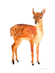 Animals Deer - Little Fawn Unframed