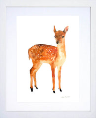 Animals Deer - Little Fawn White Frame