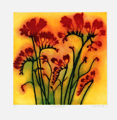 Scarlet Freesias Unframed