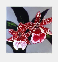 Silver Orchid Unframed