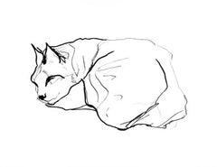 Sleeping Cat II