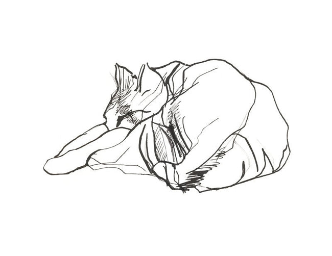 Sleeping Cat I