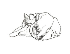 Sleeping Cat I